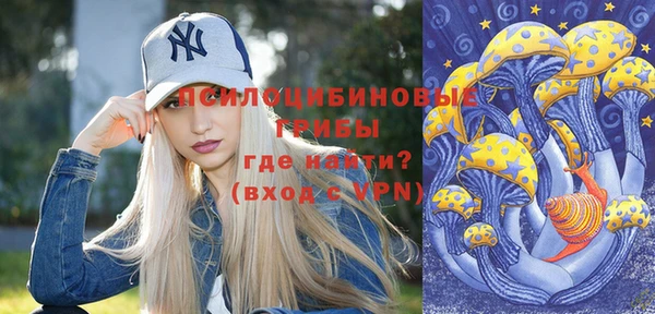 PSILOCYBIN Новозыбков