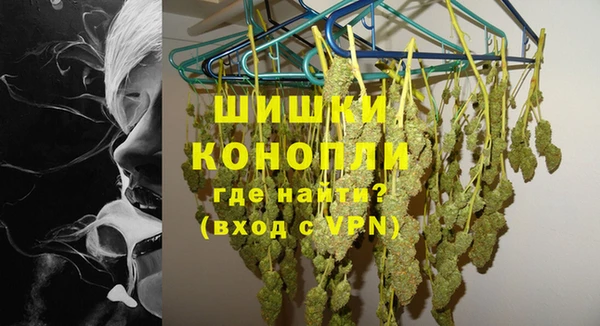 PSILOCYBIN Новозыбков