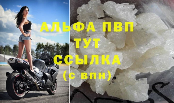 PSILOCYBIN Новозыбков