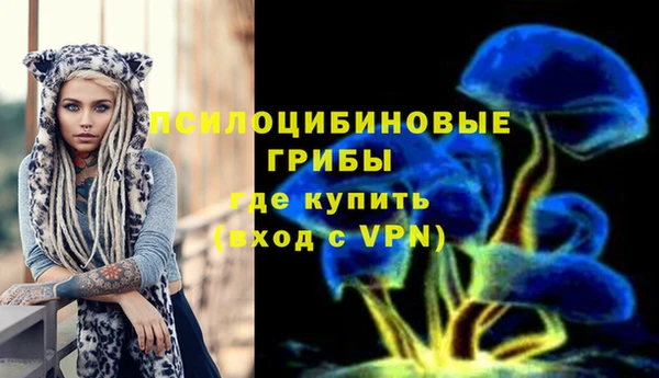 PSILOCYBIN Новозыбков