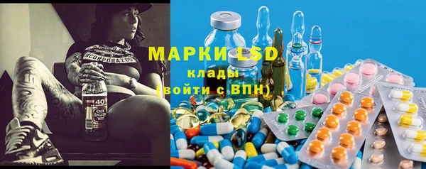 PSILOCYBIN Новозыбков